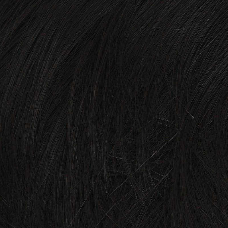Eva Gabor Wig Color Dark Chocolate Mist