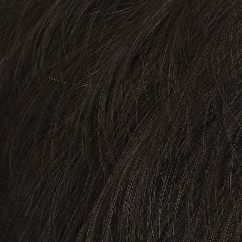 Eva Gabor Wig Color Dark Chocolate Mist