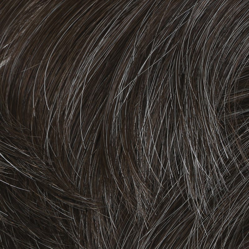 Eva Gabor Wig Color Dark Chocolate Mist