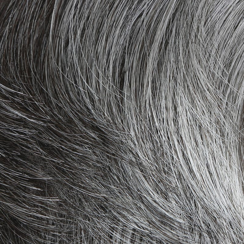 Eva Gabor Wig Color Dark Chocolate Mist