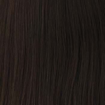 Eva Gabor Wig Color Dark Chocolate Mist