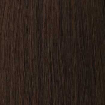 Eva Gabor Wig Color Dark Chocolate Mist