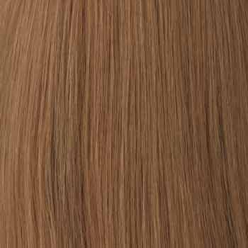Eva Gabor Wig Color Dark Chocolate Mist