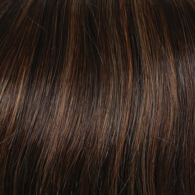 Eva Gabor Wig Color Dark Chocolate Mist