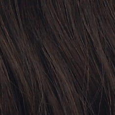 Eva Gabor Wig Color Dark Chocolate Mist