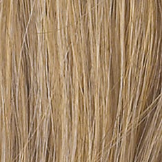Eva Gabor Wig Color Dark Chocolate Mist