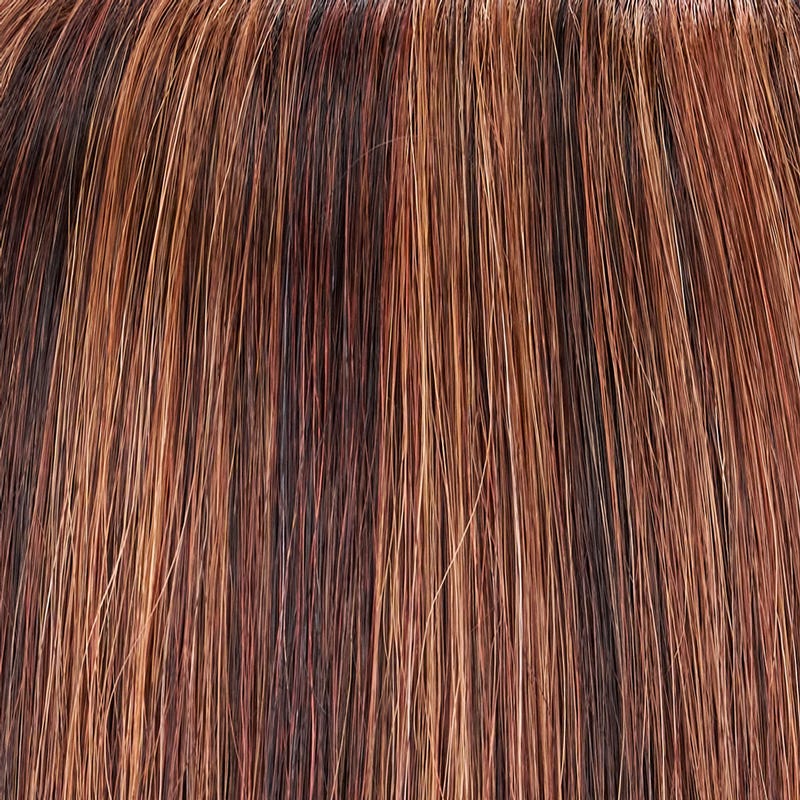 Eva Gabor Wig Color Dark Chocolate Mist
