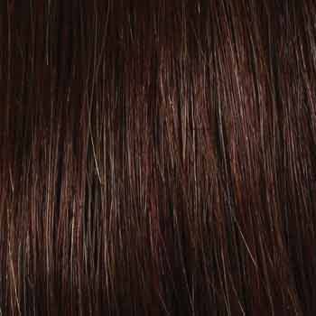 Eva Gabor Wig Color Dark Chocolate Mist