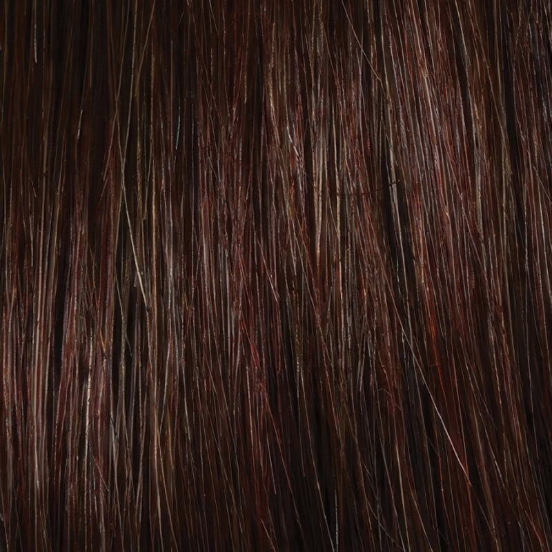 Eva Gabor Wig Color Dark Chocolate Mist