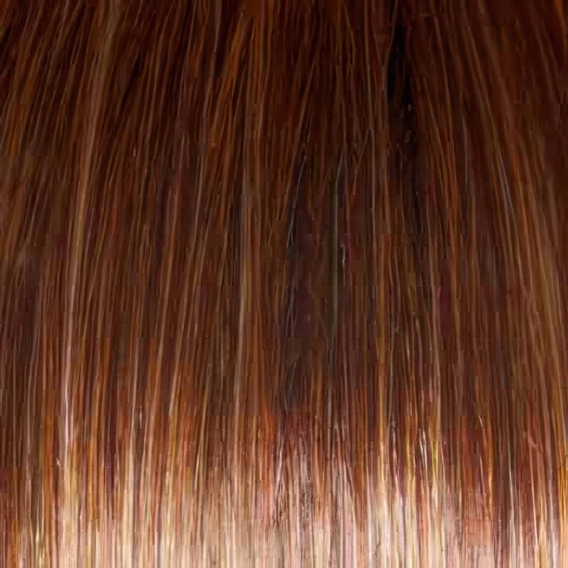 Eva Gabor Wig Color Dark Chocolate Mist