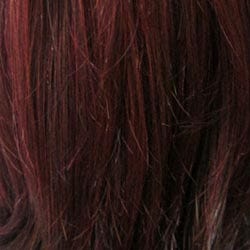 Eva Gabor Wig Color Dark Chocolate Mist