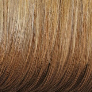 Eva Gabor Wig Color Dark Chocolate Mist