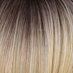 Eva Gabor Wig Color Dark Chocolate Mist