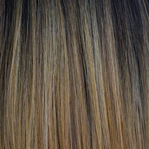 Eva Gabor Wig Color Dark Chocolate Mist