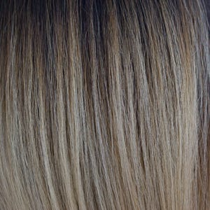 Eva Gabor Wig Color Dark Chocolate Mist