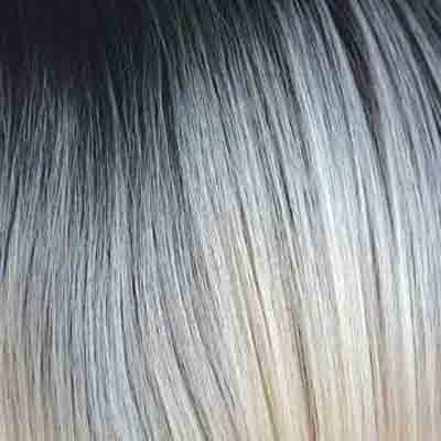 Eva Gabor Wig Color Dark Chocolate Mist