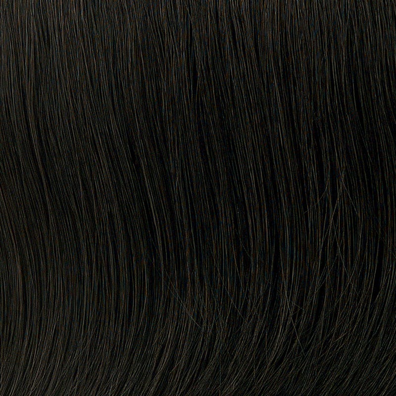 Eva Gabor Wig Color Dark Chocolate Mist