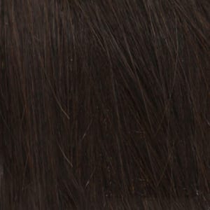 Eva Gabor Wig Color Dark Chocolate Mist