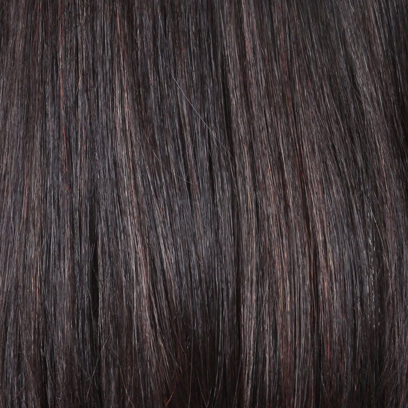 Eva Gabor Wig Color Dark Chocolate Mist
