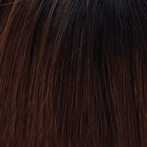 Eva Gabor Wig Color Dark Chocolate Mist