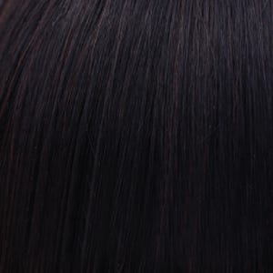 Eva Gabor Wig Color Dark Chocolate Mist