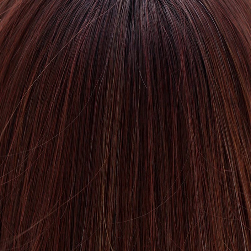 Eva Gabor Wig Color Dark Chocolate Mist