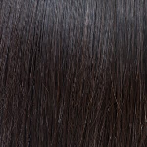 Eva Gabor Wig Color Dark Chocolate Mist