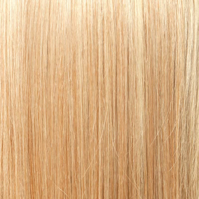Eva Gabor Wig Color Dark Chocolate Mist