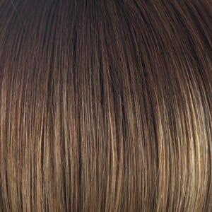 Eva Gabor Wig Color Dark Chocolate Mist