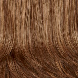 Eva Gabor Wig Color Dark Chocolate Mist