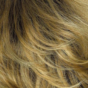 Eva Gabor Wig Color Dark Chocolate Mist