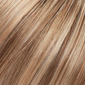 Eva Gabor Wig Color Dark Chocolate Mist