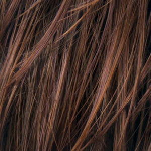 Eva Gabor Wig Color Dark Chocolate Mist