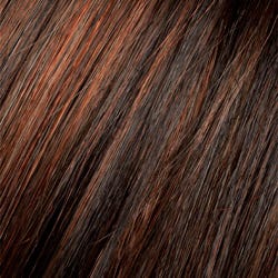 Eva Gabor Wig Color Dark Chocolate Mist