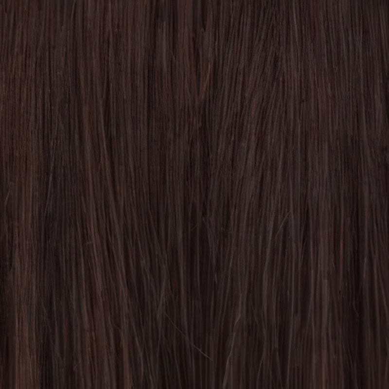 Eva Gabor Wig Color Dark Chocolate Mist