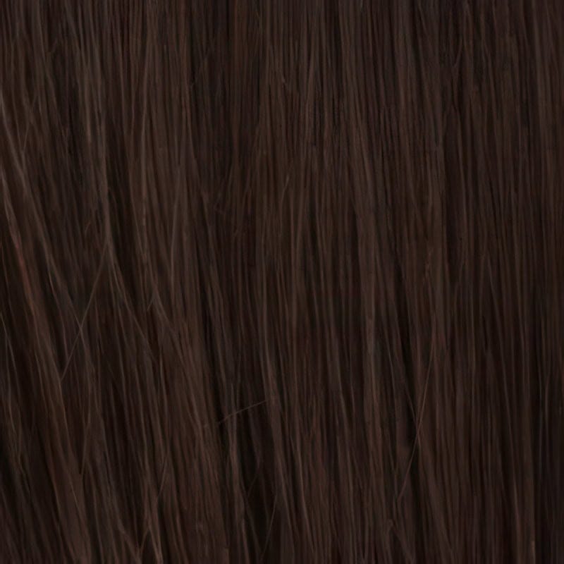 Eva Gabor Wig Color Dark Chocolate Mist