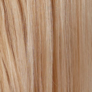 Eva Gabor Wig Color Dark Chocolate Mist