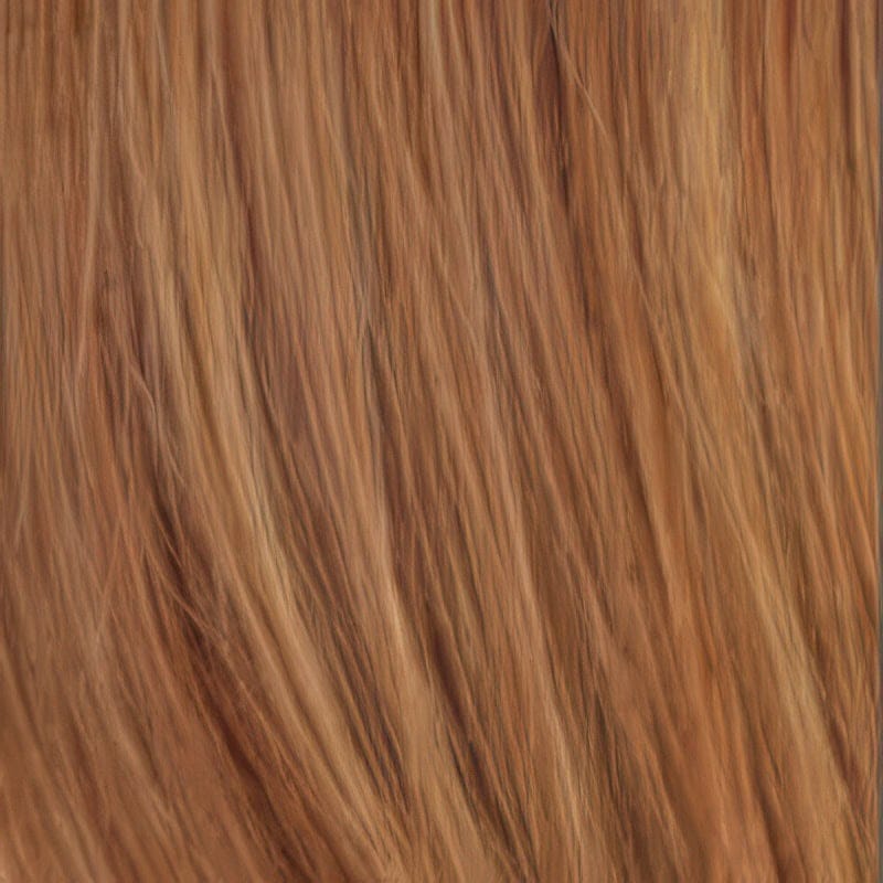Eva Gabor Wig Color Dark Chocolate Mist