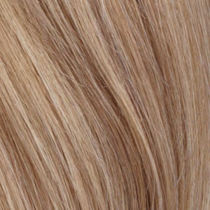 Eva Gabor Wig Color Dark Chocolate Mist