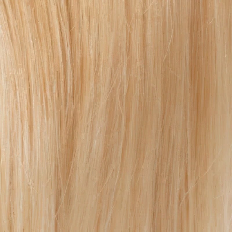 Eva Gabor Wig Color Dark Chocolate Mist