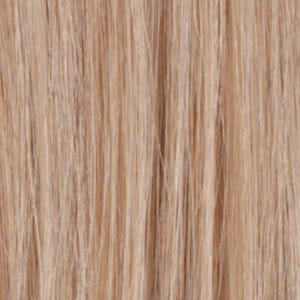 Eva Gabor Wig Color Dark Chocolate Mist