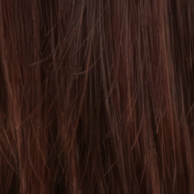 Eva Gabor Wig Color Dark Chocolate Mist