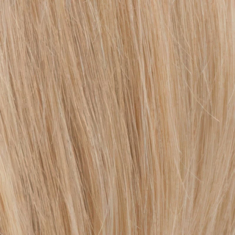 Eva Gabor Wig Color Dark Chocolate Mist