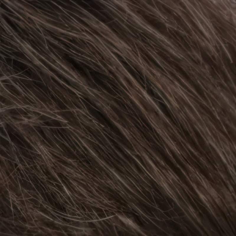 Eva Gabor Wig Color Dark Chocolate Mist