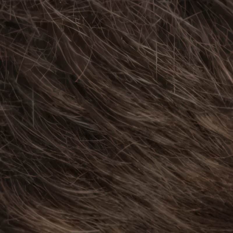 Eva Gabor Wig Color Dark Chocolate Mist