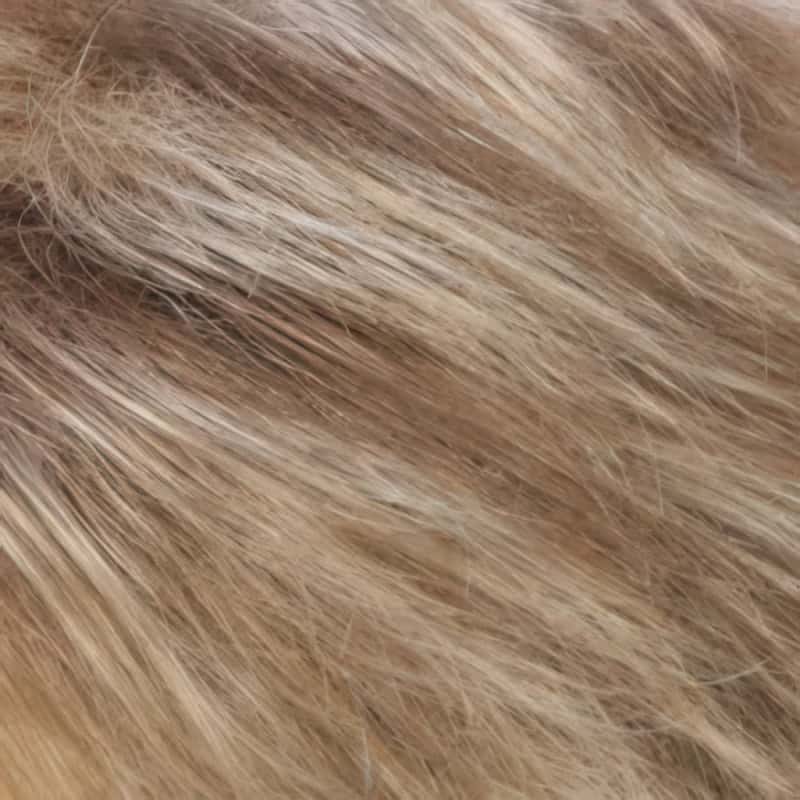 Eva Gabor Wig Color Dark Chocolate Mist