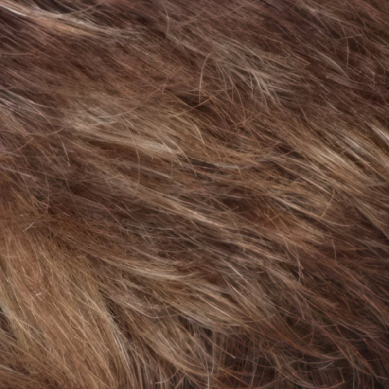 Eva Gabor Wig Color Dark Chocolate Mist