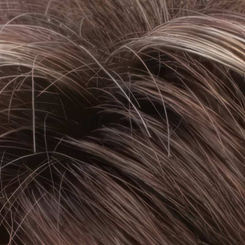 Eva Gabor Wig Color Dark Chocolate Mist