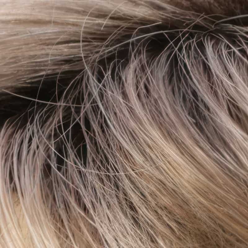 Eva Gabor Wig Color Dark Chocolate Mist