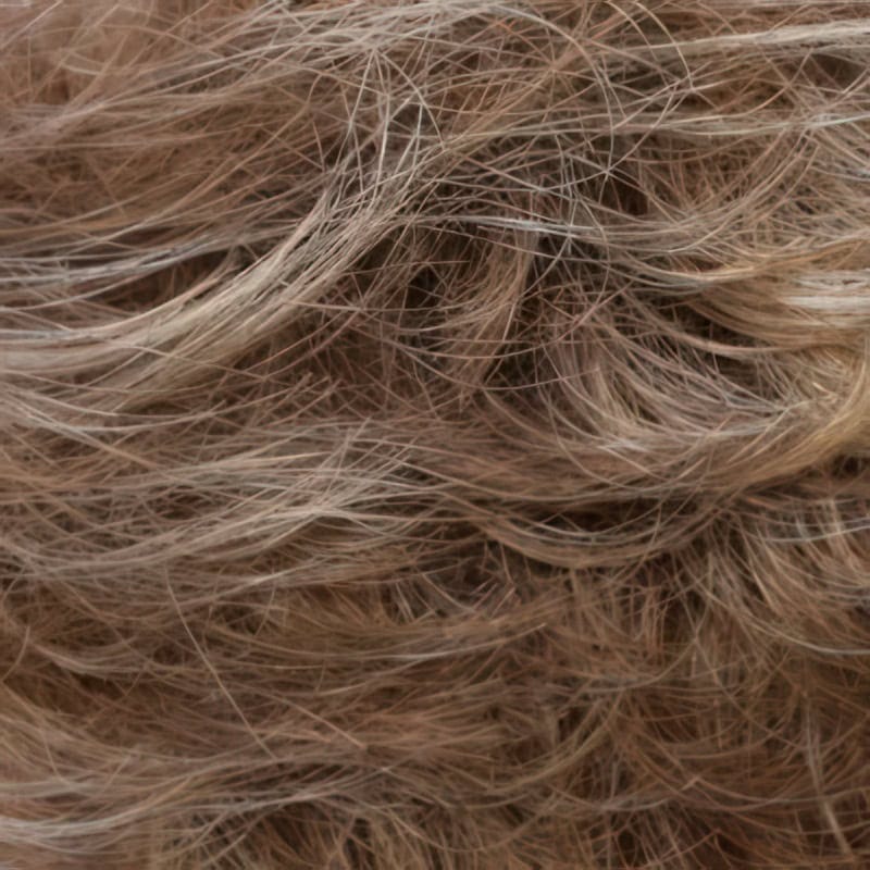 Eva Gabor Wig Color Dark Chocolate Mist